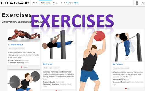 exercises